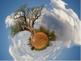 While taking an individual approach to extending and saving lives is effective, think about what a dramatic impact we can make by casting a bigger net and creating a culture of health. This means designing infrastructures so “the healthy choice is the easy choice”. For instance, nations can prioritize creating or maintaining safe spaces for exercise, low-cost options to purchase healthy foods, and clean-air laws that protect people from the dangers of secondhand smoke. It doesn’t even have to be an entire nation. It could happen in a company or in a neighbourhood. Every little bit helps.