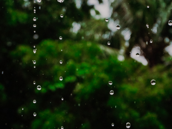 The voluntary carbon market is a crucial tool for funding natural climate solutions.