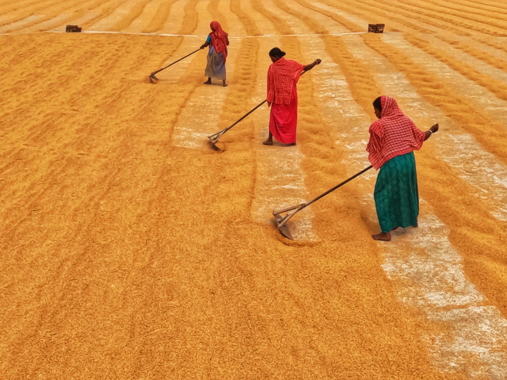 In India, the situation is even more challenging. Female labour participation and entrepreneurship are low, with the total number of women in the workforce barely changing over the past 30 years.