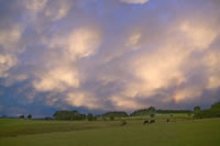 EU prepared to cut farm subsidies by 70 percent: Mandelson